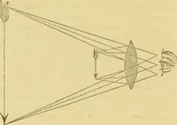 An illustration from The microscope: its history, construction, and application : being a familiar introduction to the use of the instrument and the study of microscopical sciences / by Jabez Hogg. (1869)