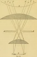 An illustration from The microscope: its history, construction, and application : being a familiar introduction to the use of the instrument and the study of microscopical sciences / by Jabez Hogg. (1869)