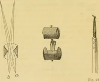An illustration from The microscope: its history, construction, and application : being a familiar introduction to the use of the instrument and the study of microscopical sciences / by Jabez Hogg. (1869)