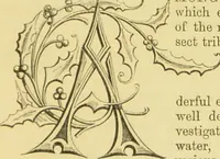 An illustration from The microscope: its history, construction, and application : being a familiar introduction to the use of the instrument and the study of microscopical sciences / by Jabez Hogg. (1869)