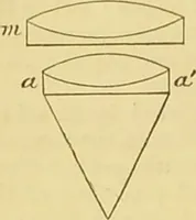 An illustration from The microscope: its history, construction, and application : being a familiar introduction to the use of the instrument and the study of microscopical sciences / by Jabez Hogg. (1869)