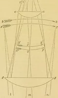 An illustration from The microscope: its history, construction, and application : being a familiar introduction to the use of the instrument and the study of microscopical sciences / by Jabez Hogg. (1869)