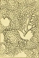 An illustration from The microscope: its history, construction, and application : being a familiar introduction to the use of the instrument and the study of microscopical sciences / by Jabez Hogg. (1869)