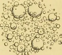 An illustration from The microscope: its history, construction, and application : being a familiar introduction to the use of the instrument and the study of microscopical sciences / by Jabez Hogg. (1869)