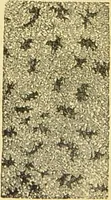 An illustration from The microscope: its history, construction, and application : being a familiar introduction to the use of the instrument and the study of microscopical sciences / by Jabez Hogg. (1869)