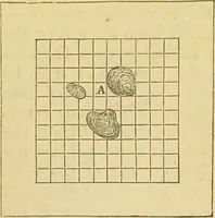 An illustration from The microscope: its history, construction, and application : being a familiar introduction to the use of the instrument and the study of microscopical sciences / by Jabez Hogg. (1869)