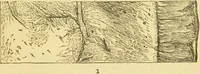 An illustration from The microscope: its history, construction, and application : being a familiar introduction to the use of the instrument and the study of microscopical sciences / by Jabez Hogg. (1869)
