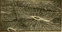 An illustration from The microscope: its history, construction, and application : being a familiar introduction to the use of the instrument and the study of microscopical sciences / by Jabez Hogg. (1869)