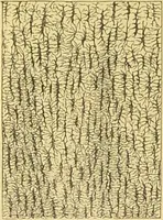 An illustration from The microscope: its history, construction, and application : being a familiar introduction to the use of the instrument and the study of microscopical sciences / by Jabez Hogg. (1869)