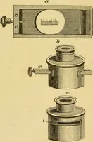 An illustration from The microscope: its history, construction, and application : being a familiar introduction to the use of the instrument and the study of microscopical sciences / by Jabez Hogg. (1869)