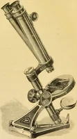 An illustration from The microscope: its history, construction, and application : being a familiar introduction to the use of the instrument and the study of microscopical sciences / by Jabez Hogg. (1869)