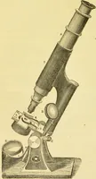 An illustration from The microscope: its history, construction, and application : being a familiar introduction to the use of the instrument and the study of microscopical sciences / by Jabez Hogg. (1869)