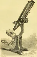An illustration from The microscope: its history, construction, and application : being a familiar introduction to the use of the instrument and the study of microscopical sciences / by Jabez Hogg. (1869)