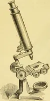 An illustration from The microscope: its history, construction, and application : being a familiar introduction to the use of the instrument and the study of microscopical sciences / by Jabez Hogg. (1869)