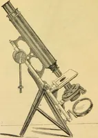 An illustration from The microscope: its history, construction, and application : being a familiar introduction to the use of the instrument and the study of microscopical sciences / by Jabez Hogg. (1869)
