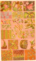 An illustration from The microscope: its history, construction, and application : being a familiar introduction to the use of the instrument and the study of microscopical sciences / by Jabez Hogg. (1869)