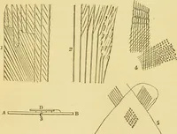 An illustration from The microscope: its history, construction, and application : being a familiar introduction to the use of the instrument and the study of microscopical sciences / by Jabez Hogg. (1869)