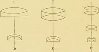 An illustration from The microscope: its history, construction, and application : being a familiar introduction to the use of the instrument and the study of microscopical sciences / by Jabez Hogg. (1869)