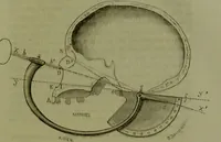 Picture 8 of 21 from Instructions craniologiques et craniométriques de la Société d'anthropologie de Paris / par Paul Broca. (1875), leaf 103