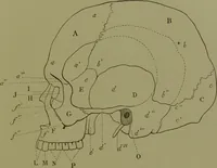 An illustration from Instructions craniologiques et craniométriques de la Société d'anthropologie de Paris / par Paul Broca. (1875)
