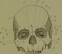 An illustration from Instructions craniologiques et craniométriques de la Société d'anthropologie de Paris / par Paul Broca. (1875)