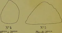 Picture 20 of 21 from Instructions craniologiques et craniométriques de la Société d'anthropologie de Paris / par Paul Broca. (1875), leaf 232