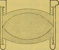 An illustration from The microscope : its history, construction, and application, being a familiar introduction to the use of the instrument, and the study of microscopical science / by Jabez Hogg. (1898)