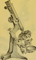 An illustration from The microscope : its history, construction, and application, being a familiar introduction to the use of the instrument, and the study of microscopical science / by Jabez Hogg. (1898)
