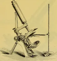 An illustration from The microscope : its history, construction, and application, being a familiar introduction to the use of the instrument, and the study of microscopical science / by Jabez Hogg. (1898)