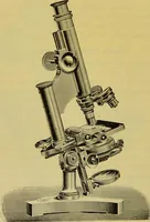 An illustration from The microscope : its history, construction, and application, being a familiar introduction to the use of the instrument, and the study of microscopical science / by Jabez Hogg. (1898)