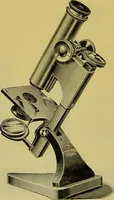 An illustration from The microscope : its history, construction, and application, being a familiar introduction to the use of the instrument, and the study of microscopical science / by Jabez Hogg. (1898)