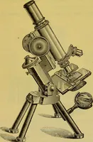 An illustration from The microscope : its history, construction, and application, being a familiar introduction to the use of the instrument, and the study of microscopical science / by Jabez Hogg. (1898)
