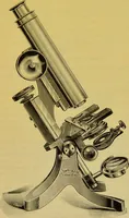 Picture 79 of 409 from The microscope : its history, construction, and application, being a familiar introduction to the use of the instrument, and the study of microscopical science / by Jabez Hogg. (1898), leaf 151