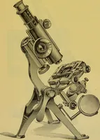 An illustration from The microscope : its history, construction, and application, being a familiar introduction to the use of the instrument, and the study of microscopical science / by Jabez Hogg. (1898)