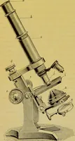 An illustration from The microscope : its history, construction, and application, being a familiar introduction to the use of the instrument, and the study of microscopical science / by Jabez Hogg. (1898)