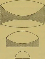 An illustration from The microscope : its history, construction, and application, being a familiar introduction to the use of the instrument, and the study of microscopical science / by Jabez Hogg. (1898)