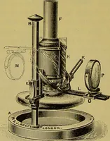 An illustration from The microscope : its history, construction, and application, being a familiar introduction to the use of the instrument, and the study of microscopical science / by Jabez Hogg. (1898)