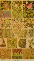 Picture 158 of 409 from The microscope : its history, construction, and application, being a familiar introduction to the use of the instrument, and the study of microscopical science / by Jabez Hogg. (1898), leaf 253