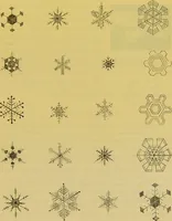 An illustration from The microscope : its history, construction, and application, being a familiar introduction to the use of the instrument, and the study of microscopical science / by Jabez Hogg. (1898)