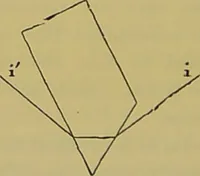 An illustration from The microscope : its history, construction, and application, being a familiar introduction to the use of the instrument, and the study of microscopical science / by Jabez Hogg. (1898)