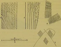 An illustration from The microscope : its history, construction, and application, being a familiar introduction to the use of the instrument, and the study of microscopical science / by Jabez Hogg. (1898)