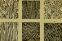 An illustration from The microscope : its history, construction, and application, being a familiar introduction to the use of the instrument, and the study of microscopical science / by Jabez Hogg. (1898)