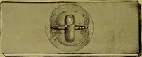 Picture 189 of 409 from The microscope : its history, construction, and application, being a familiar introduction to the use of the instrument, and the study of microscopical science / by Jabez Hogg. (1898), leaf 312