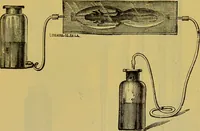 An illustration from The microscope : its history, construction, and application, being a familiar introduction to the use of the instrument, and the study of microscopical science / by Jabez Hogg. (1898)
