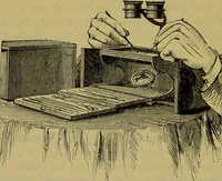 An illustration from The microscope : its history, construction, and application, being a familiar introduction to the use of the instrument, and the study of microscopical science / by Jabez Hogg. (1898)