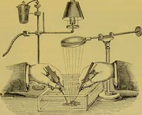 Picture 197 of 409 from The microscope : its history, construction, and application, being a familiar introduction to the use of the instrument, and the study of microscopical science / by Jabez Hogg. (1898), leaf 321