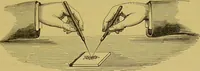 An illustration from The microscope : its history, construction, and application, being a familiar introduction to the use of the instrument, and the study of microscopical science / by Jabez Hogg. (1898)