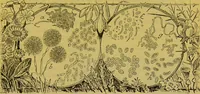 Picture 225 of 409 from The microscope : its history, construction, and application, being a familiar introduction to the use of the instrument, and the study of microscopical science / by Jabez Hogg. (1898), leaf 415