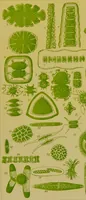 An illustration from The microscope : its history, construction, and application, being a familiar introduction to the use of the instrument, and the study of microscopical science / by Jabez Hogg. (1898)
