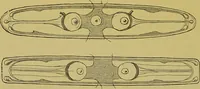 An illustration from The microscope : its history, construction, and application, being a familiar introduction to the use of the instrument, and the study of microscopical science / by Jabez Hogg. (1898)
